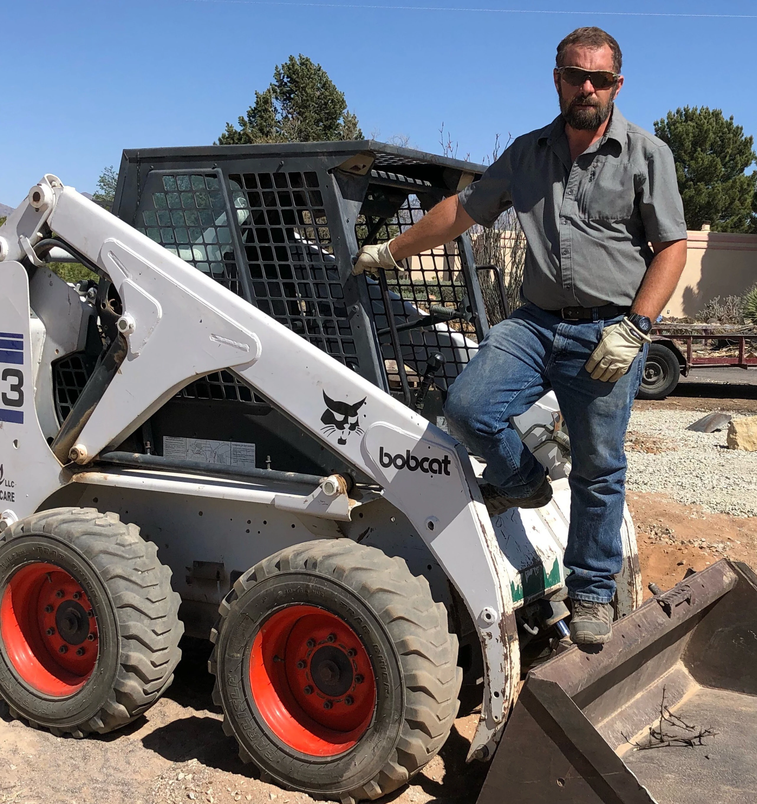 Front-yard xeriscape with curved gravel beds and shade tree at a Las Cruces home