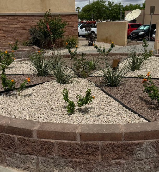 Custom raised garden beds with mixed plantings