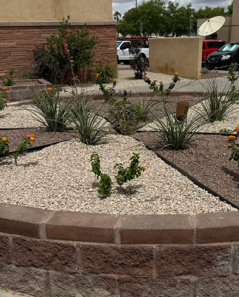 Stone border and slope stabilization by Brainard's Greenscapes in Las Cruces, NM