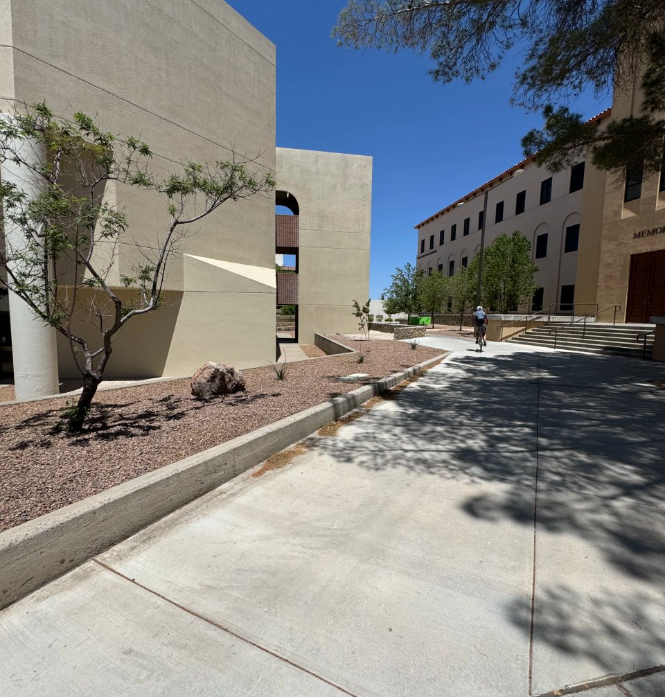 Desert-friendly front yard with stone walkway in Sonoma Ranch, NM