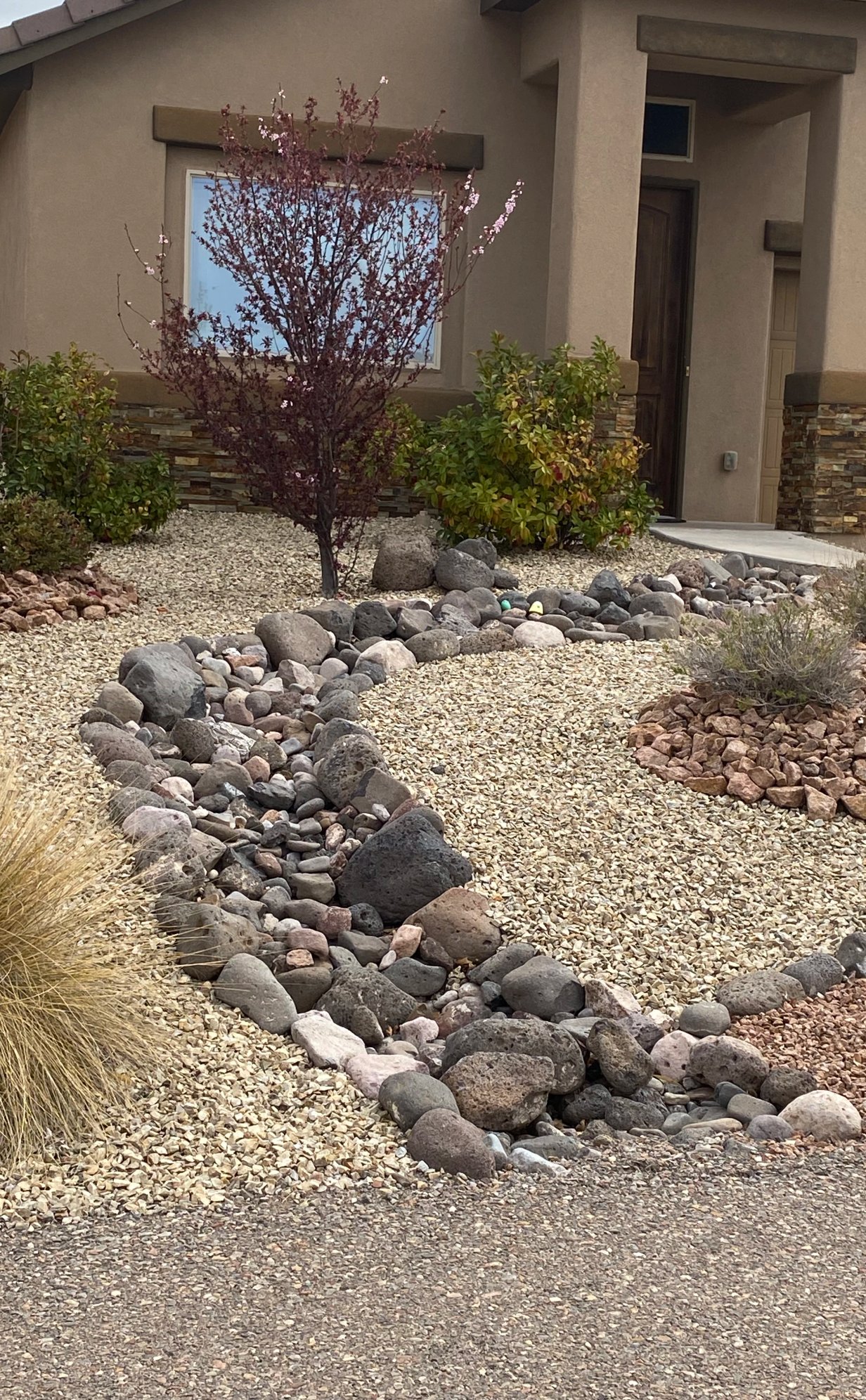 Mature xeriscape conversion with native plants and drip irrigation by Brainard's Greenscapes in Las Cruces