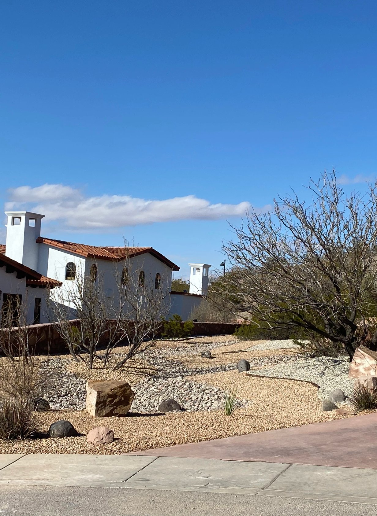 Brainard's Greenscapes drip-irrigated landscape in Las Cruces