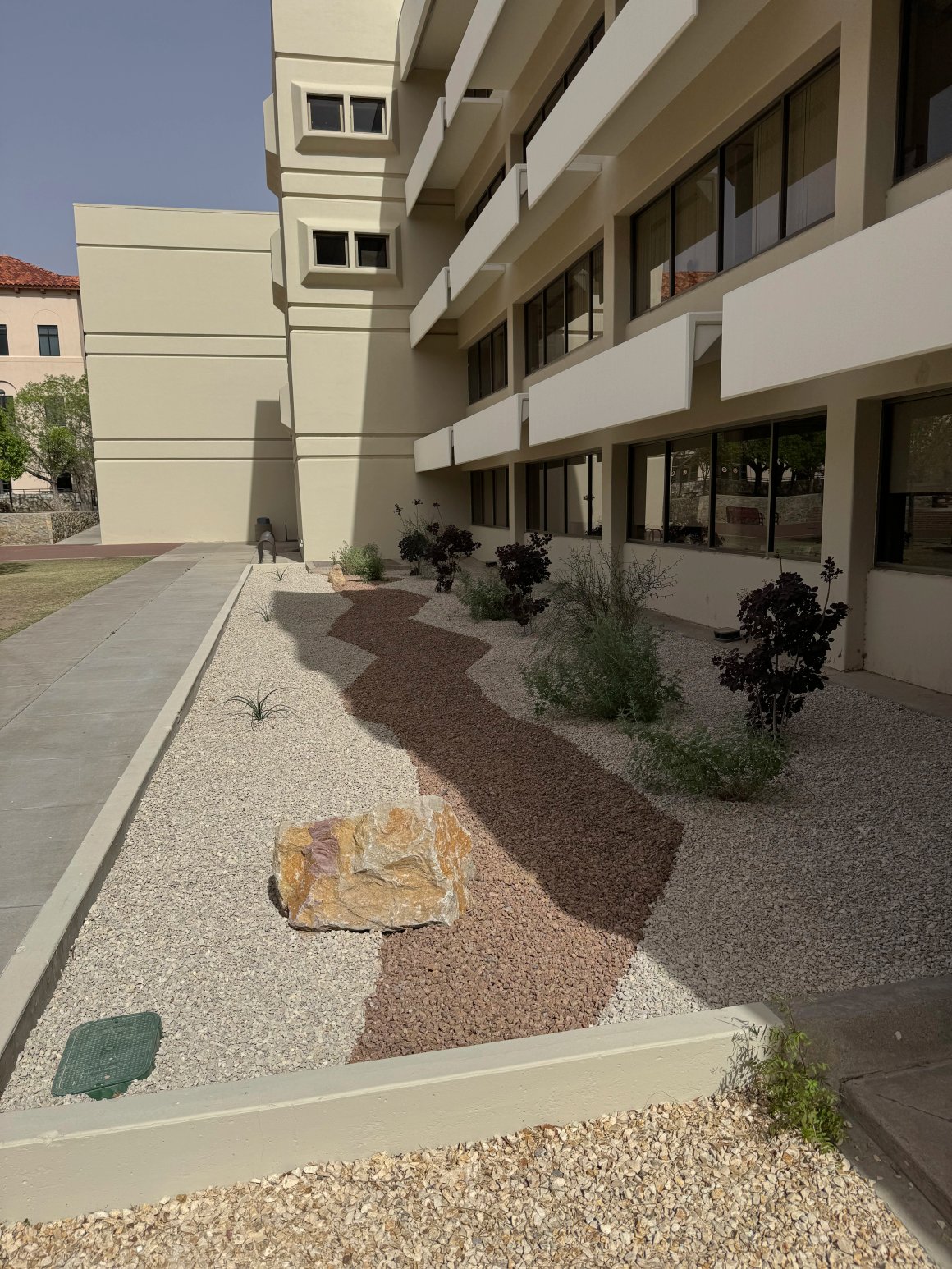 Drought-tolerant landscape on a large lot in Doña Ana, NM